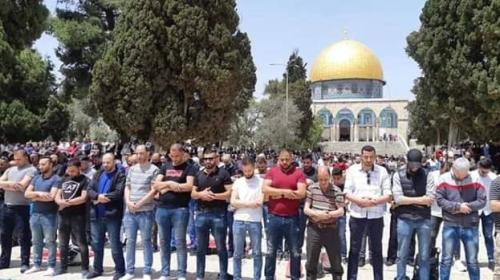 صلاة الجمعة في الأقصى