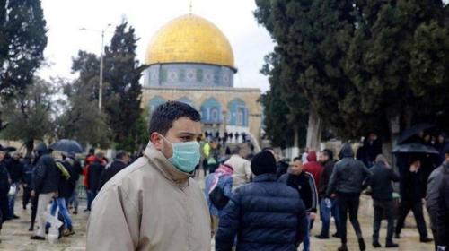 كورونا في القدس
