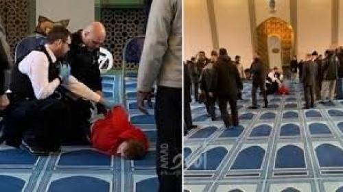 تنزيل