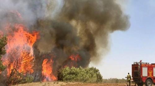 حرائق المستوطنات