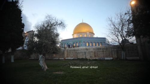 باحات المسجد الاقصى