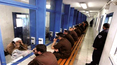 معتقلين