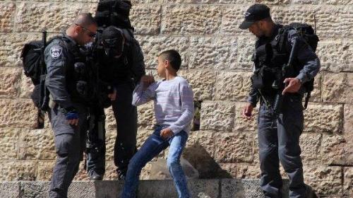ارشيفية