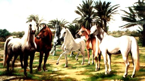 فارس