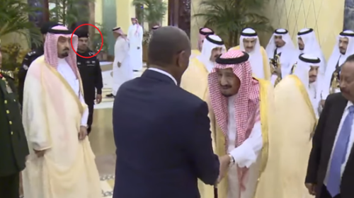 الفغم