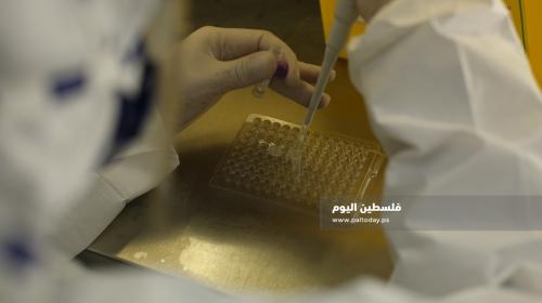 فحص كورونا بغزة  (18).JPG