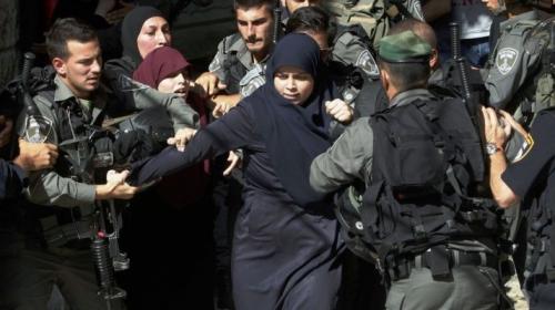 ارشيفية