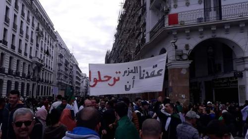 مظاهرات الجزائر