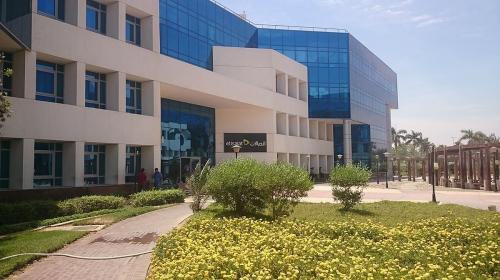 اتصالات مصر