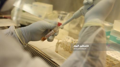 فحص كورونا بغزة  (12).JPG
