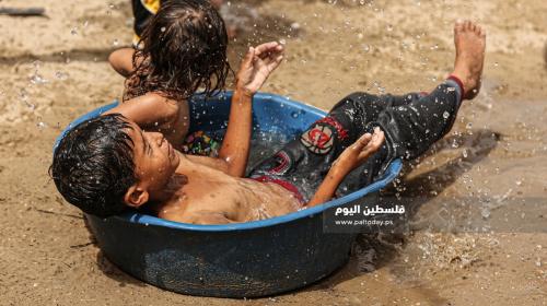 ارتفاع الحرارة (20).JPG