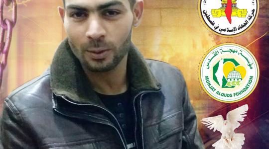 محمد مقداد
