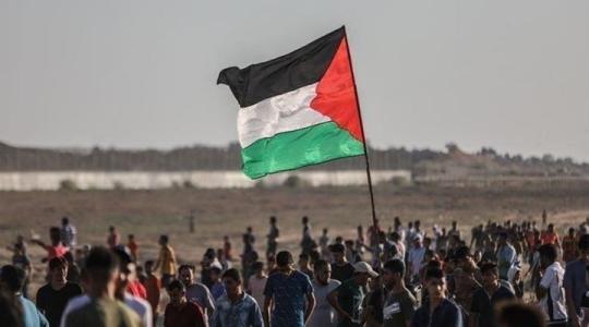 اعداد الفلسطينيين.jpg