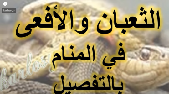 تفسير منام الأفعى في الحلم للرجل والعزباء والمتزوج والحامل