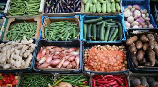 أسعار الخضروات والدجاج واللحوم في غزة اليوم الثلاثاء 25 أكتوبر 2022