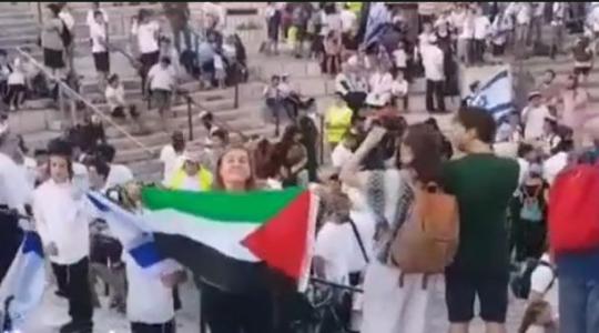 السيدة التي رفعت علم فلسطين _هالة الشريف.JPG