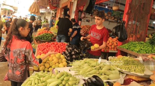 ارتفاع على سعر البندورة.. طالع أسعار الخضروات والدجاج في غزة اليوم الاثنين