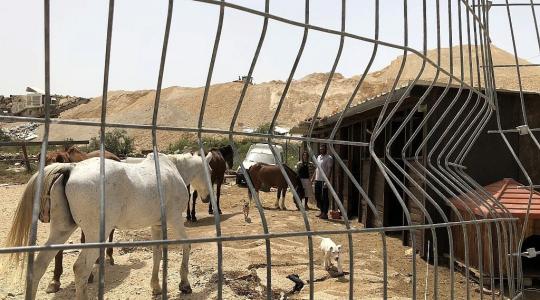 قوات الاحتلال تهدم اسطبلا للخيول في بلدة الطور بالقدس المحتلة