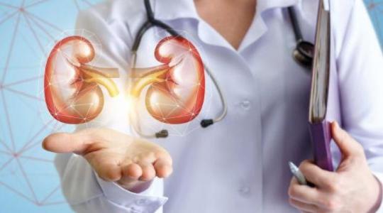 أعراض حصوات الكلى  .. طرق العلاج والوقاية