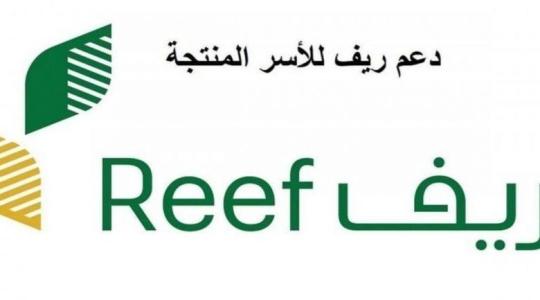 كيفية التسجيل في برنامج دعم ريف السعودي 1443 reef هجري .. ابرز الشروط
