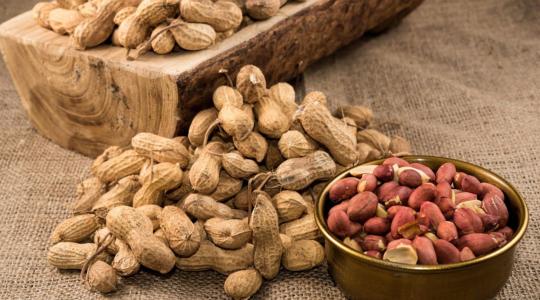 دراسة تكشف علاقة الفول السوداني بتحسين المزاج