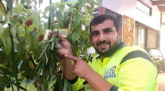 رجل يدخل موسوعة جينيس بـ"شجرة".. فما قصتها!