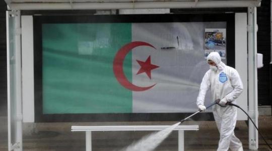 كورونا في الجزائر