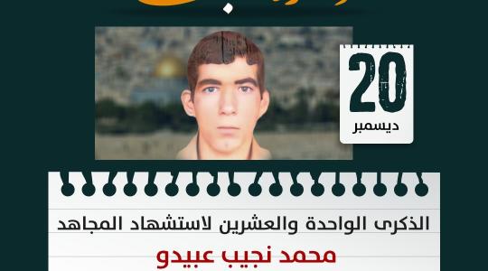 محمد نجيب عبيدو.jpg