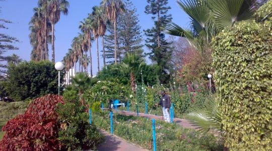 منتزه البلدية.jpg