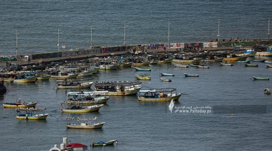 ميناء الصيادين غزة (1).JPG
