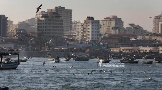 ميناء الصيادين في غزة 2023