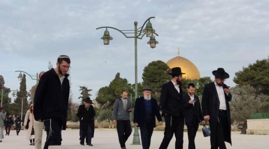 مستوطنون يتجولون بالقدس