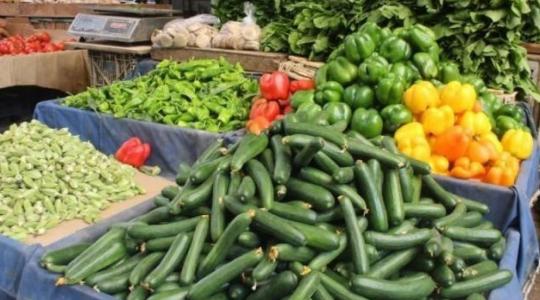 أسعار الخضروات والدجاج واللحوم في قطاع غزة اليوم السبت