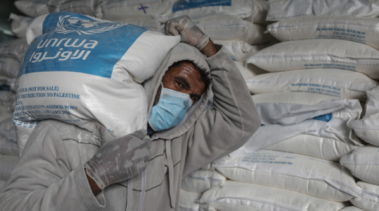 "الأونروا"بغزة  تعلن موعد توزيع الدورة الثانية من المساعدات الغذائية
