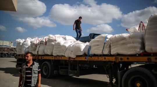 طحين إلى فلسطين مارس 2022