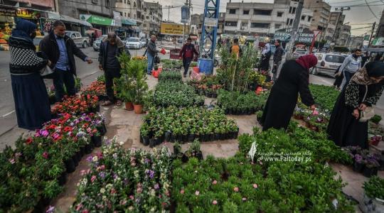 تجارة الاشتال