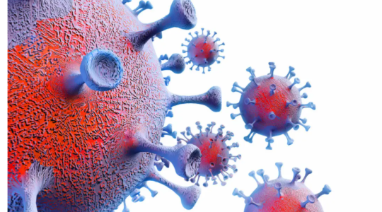 ما هو سبب انتشار فيروس ماربورغ- أعراض فيروس ماربورغ