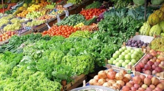 أسعار الخضروات والدجاج في غزة اليوم السبت 11 يونيو 2022