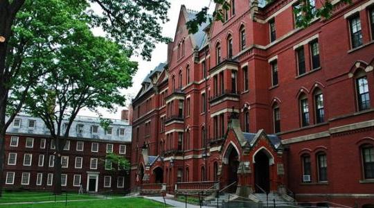 جامعة هارفارد.
