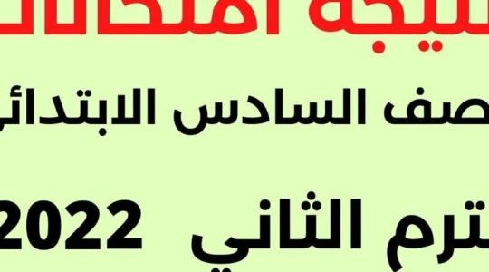 نتيجة السادس الابتدائي في العراق.jpg