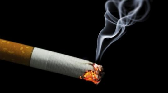 الصحة برام الله: 31.3% من الفلسطينيين مدخنون