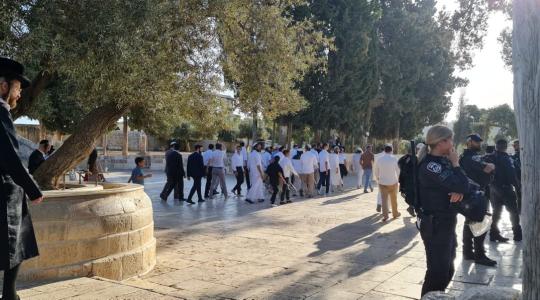 مئات المستوطنين يقتحمون الأقصى تحت حماية قوات الاحتلال
