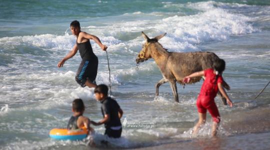 بحر دير البلح