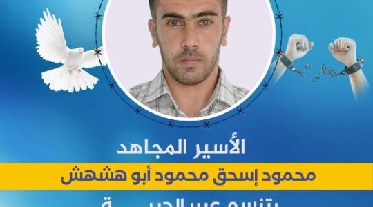 الأسير المجاهد محمود أبو هشهش