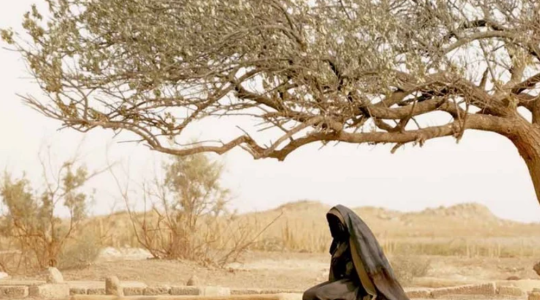 سبب منع عرض فيلم سيدة الجنة