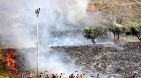 مستوطنون يحرقون أراضي زراعية ويهاجمون منازل المواطنين جنوب نابلس
