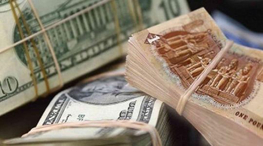 سعر الدولار في مصر