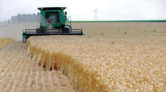 حصد القمح في روسيا 2022