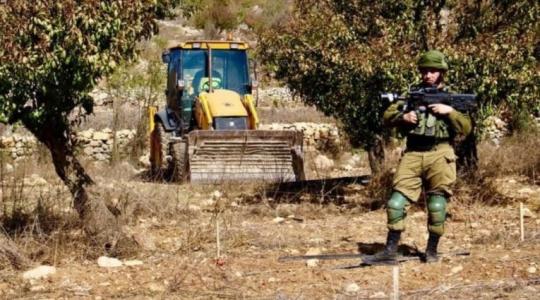 الاحتلال يقتلع ألف شجرة زيتون في قرية حجة شرق قلقيلية