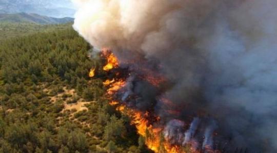 حرائق الغابات في المغرب.jfif